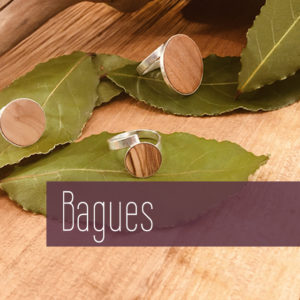 Bagues, puces et bracelets